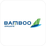 Bamboo