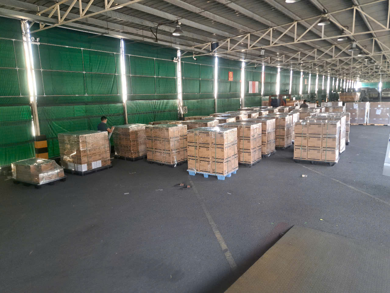 Kho hàng BeeVN Express với pallet hàng được đóng gói chuẩn quốc tế, thể hiện năng lực vận hành chuyên nghiệp phục vụ tuyến Singapore trung tâm trung chuyển hàng hóa toàn cầu.