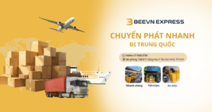 BeeVn - chuyển phát nhanh đi trung quốc